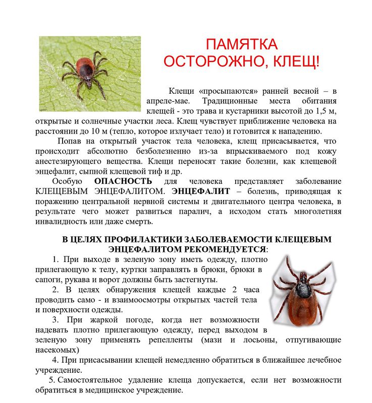 Осторожно, клещ!.