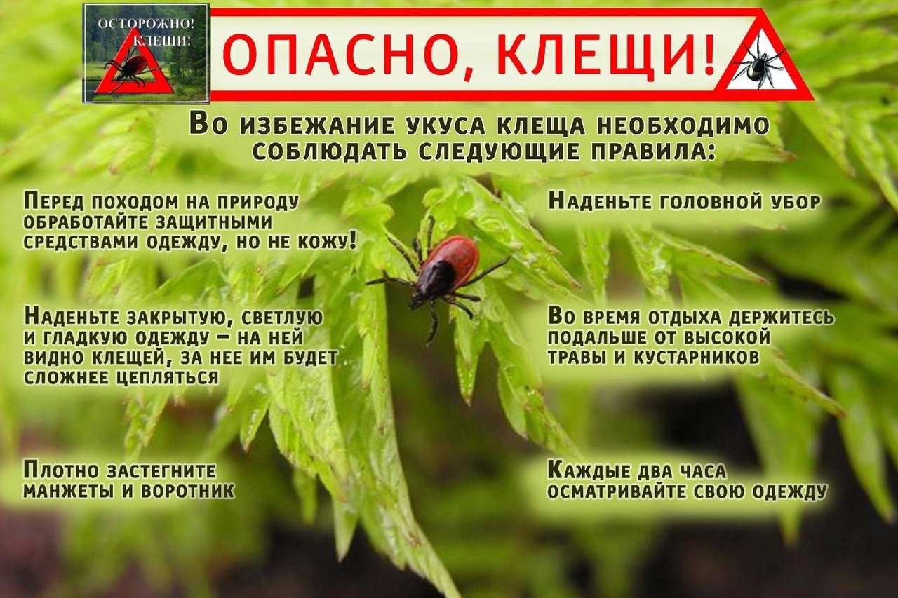 Осторожно, клещи!.