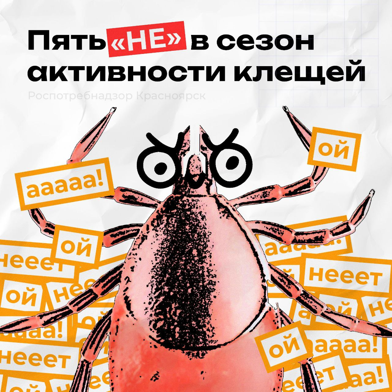 5 &quot;Нет&quot; в сезон активности клещей.