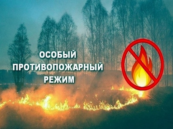Правила пожарной безопасности в весенне-летний пожароопасный период.