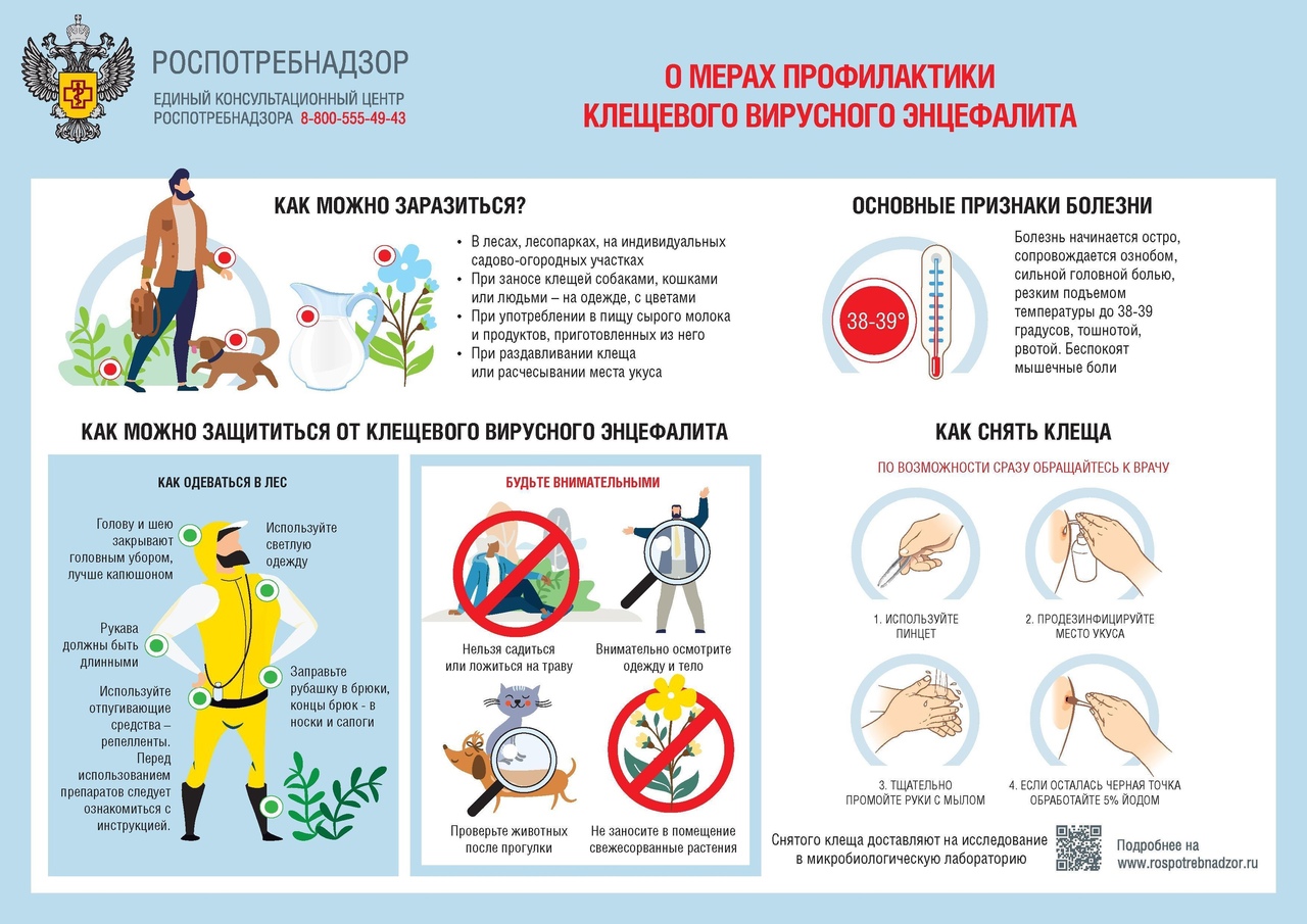 Меры профилактики клещевого вирусного энцефалита.