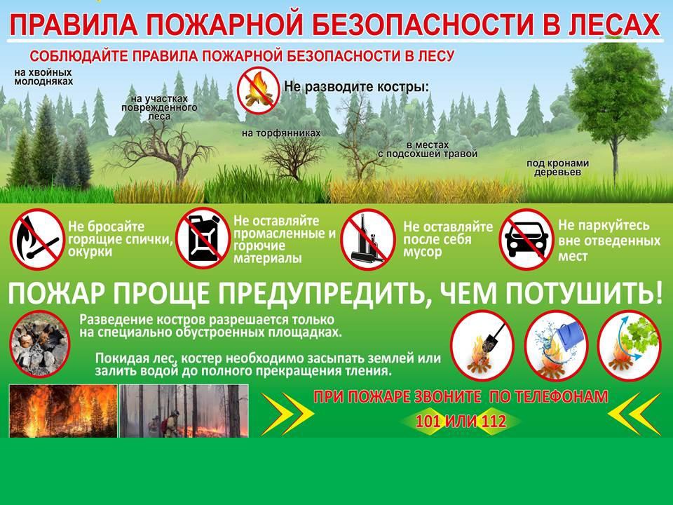 Правила пожарной безопасности в лесах.