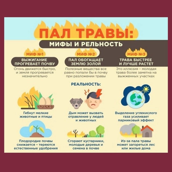 Пал травы: мифы и реальность.
