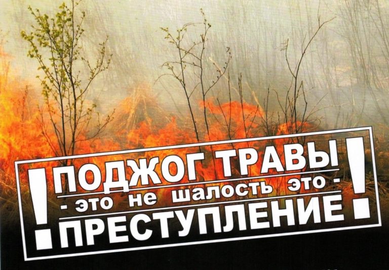 Сборщикам дикоросов рекомендуют соблюдать правила пожарной безопасности в лесах.