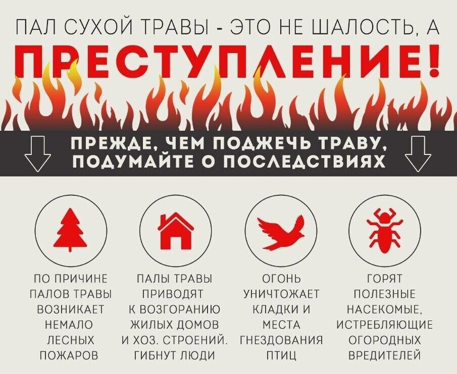 Пал сухой травы - это не шалость, а преступление!.