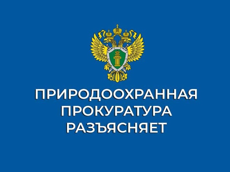 Красноярская природоохранная прокуратуру информирует.