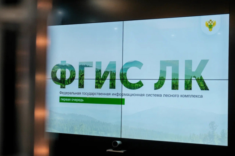 Нововведения в сфере лесного хозяйства. Нововведения в сфере лесного хозяйства.